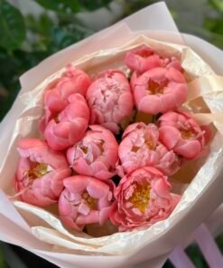 Букет з 11 півоній "Pink Hawai"