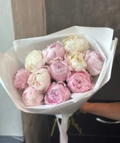 Букет з 11 біло-рожевих півоній