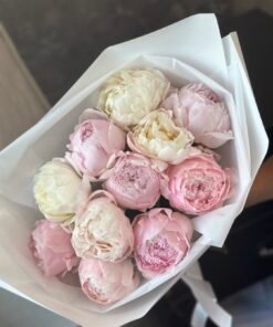 Букет з 11 біло-рожевих півоній