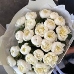 Букет з 25 Півоній "Duchesse de Nemours"