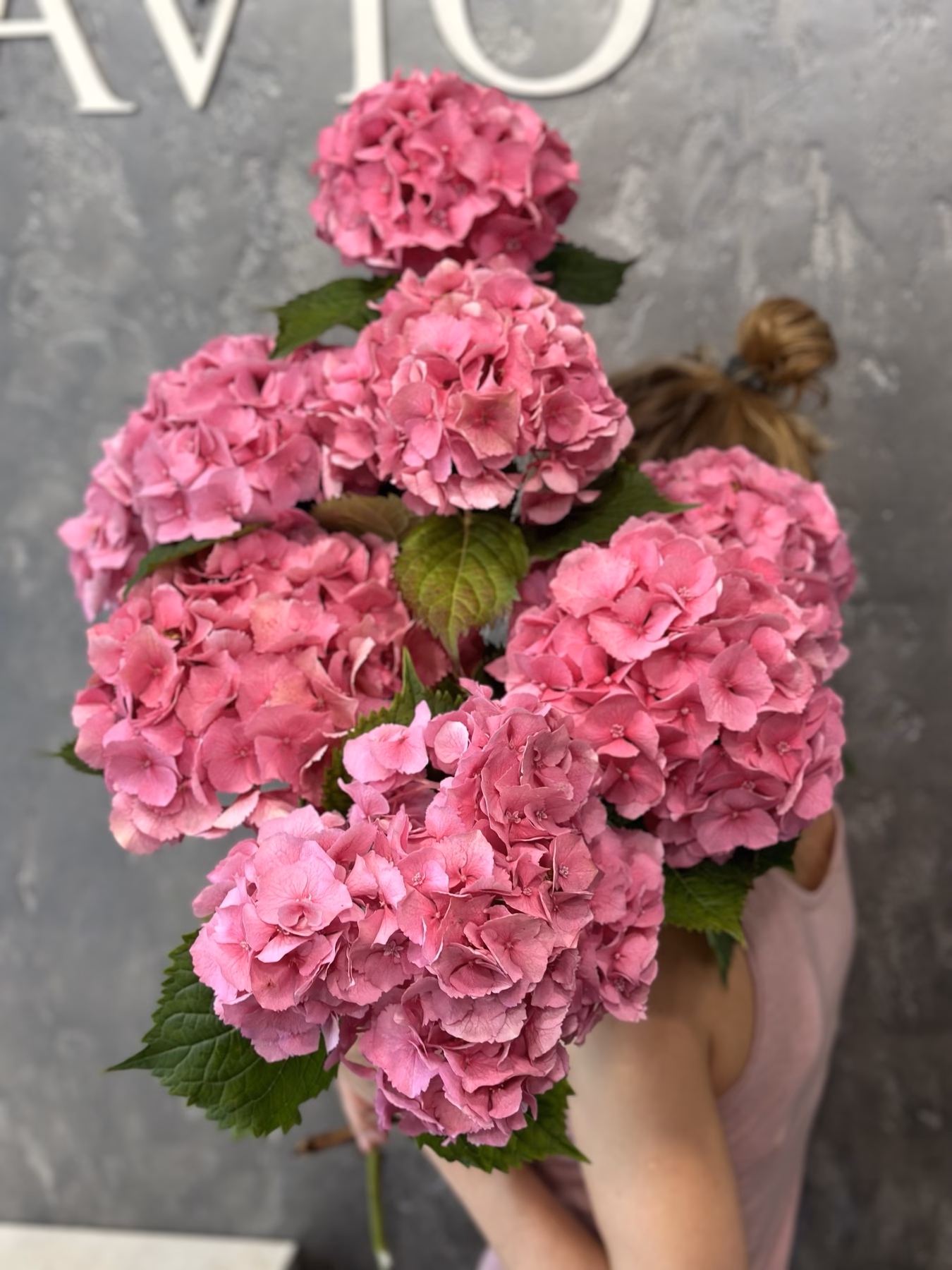 Букет Гортензий "Pink Barbie"