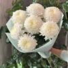 Букет з 7 Білих Хризантем