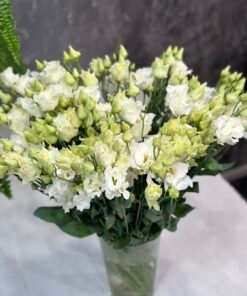 Букет з 7 або 15 гілок Кучерявих Еустом