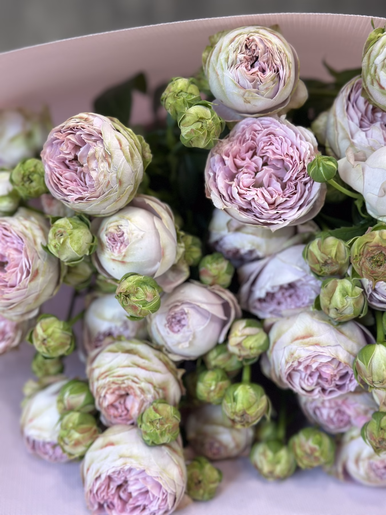 Букет з 7 або 11 гілок кущових троянд "Blossom Bubbles"