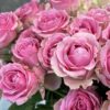 Букет з 15 або 35 рожевих троянд 