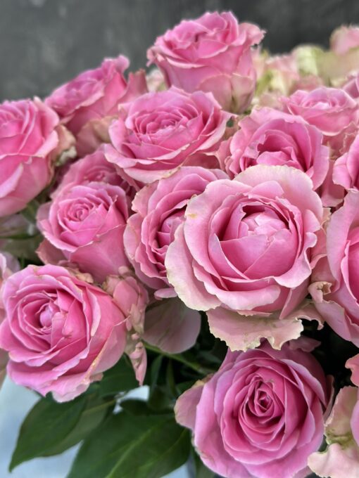 Букет з 15 або 35 рожевих троянд "Wham" 40 см