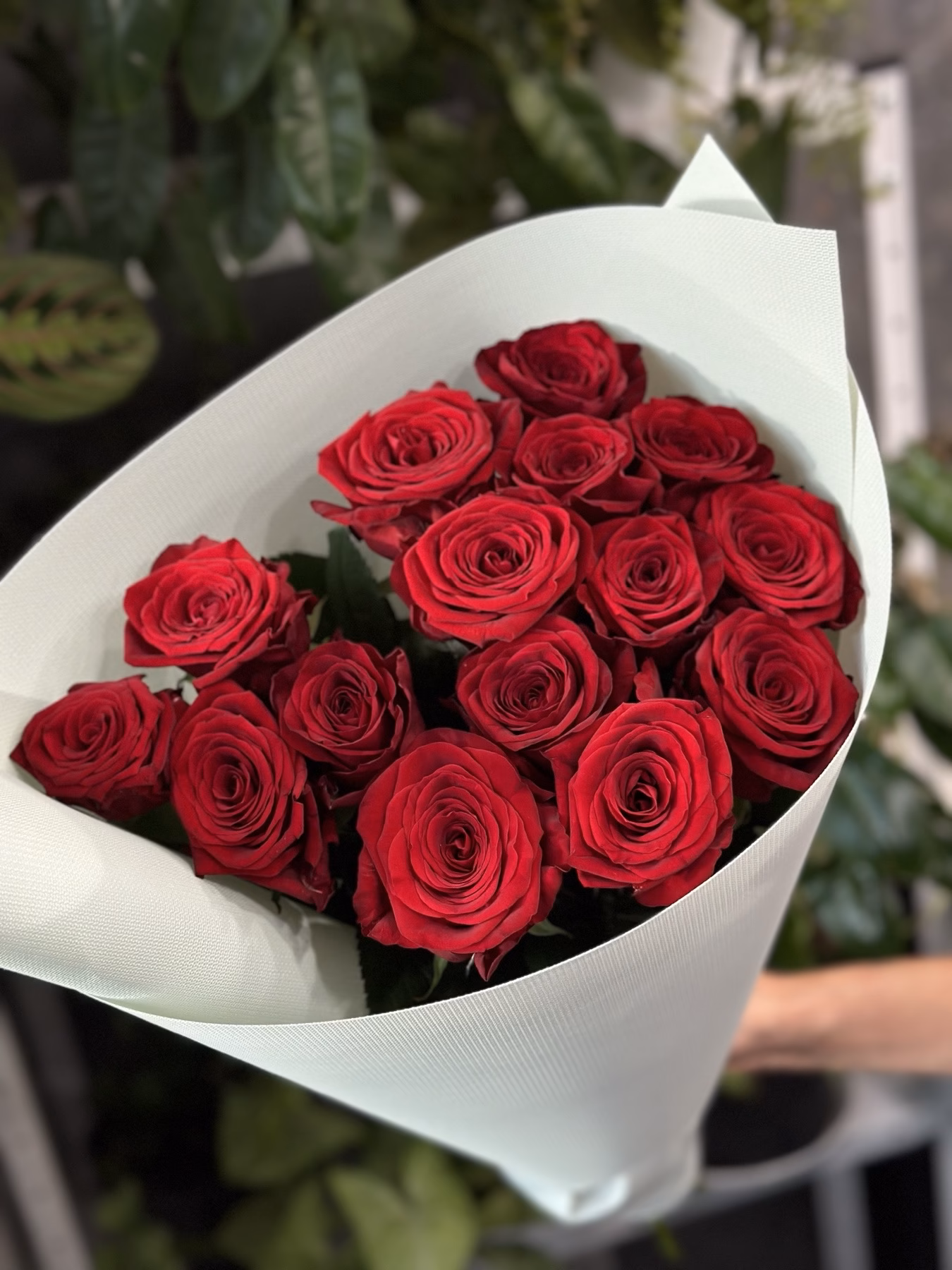 Букет з 15 червоних троянд "Red Naomi" 60 см