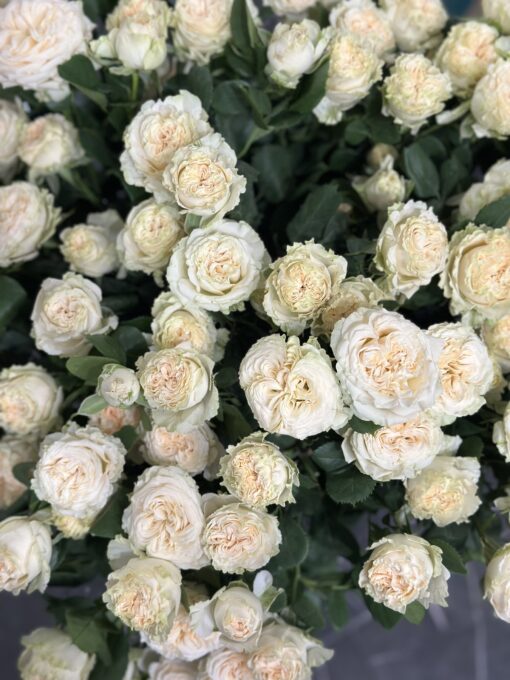 Букет з 7 або 15 гілок кущових троянд "Summer Rose"
