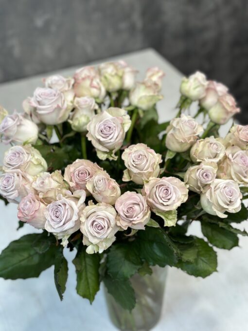 Букет з 15 або 35 троянд "Рейданс" 50 см