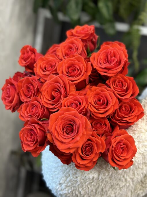 Букет з 7 або 15 червоних троянд "Nina" Еквадор