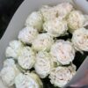 Букет з 9 або 15 піоноподібних троянд 