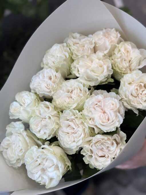 Букет з 9 або 15 піоноподібних троянд "Cotton" Еквадор