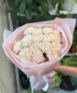 Букет з 15 кремових гвоздик