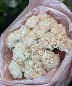 Букет з 15 кремових гвоздик