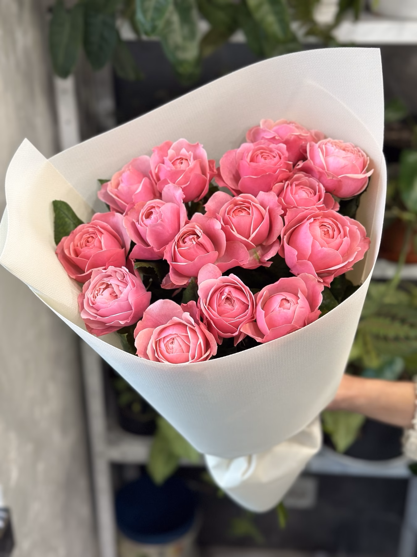 Букет з 15 піоноподібних троянд "Silva Pink"