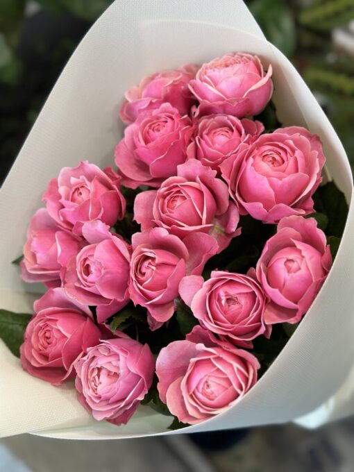 Букет з 15 піоноподібних троянд "Silva Pink"