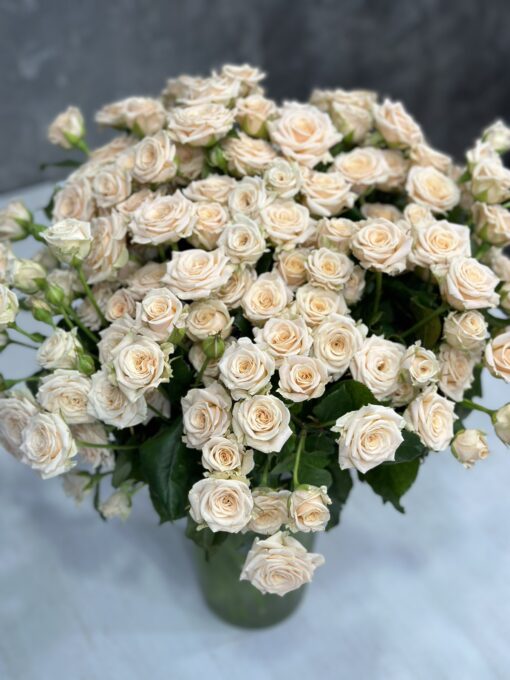 Букет з 15 або 35 гілок кущових кремових троянд "Tanya"