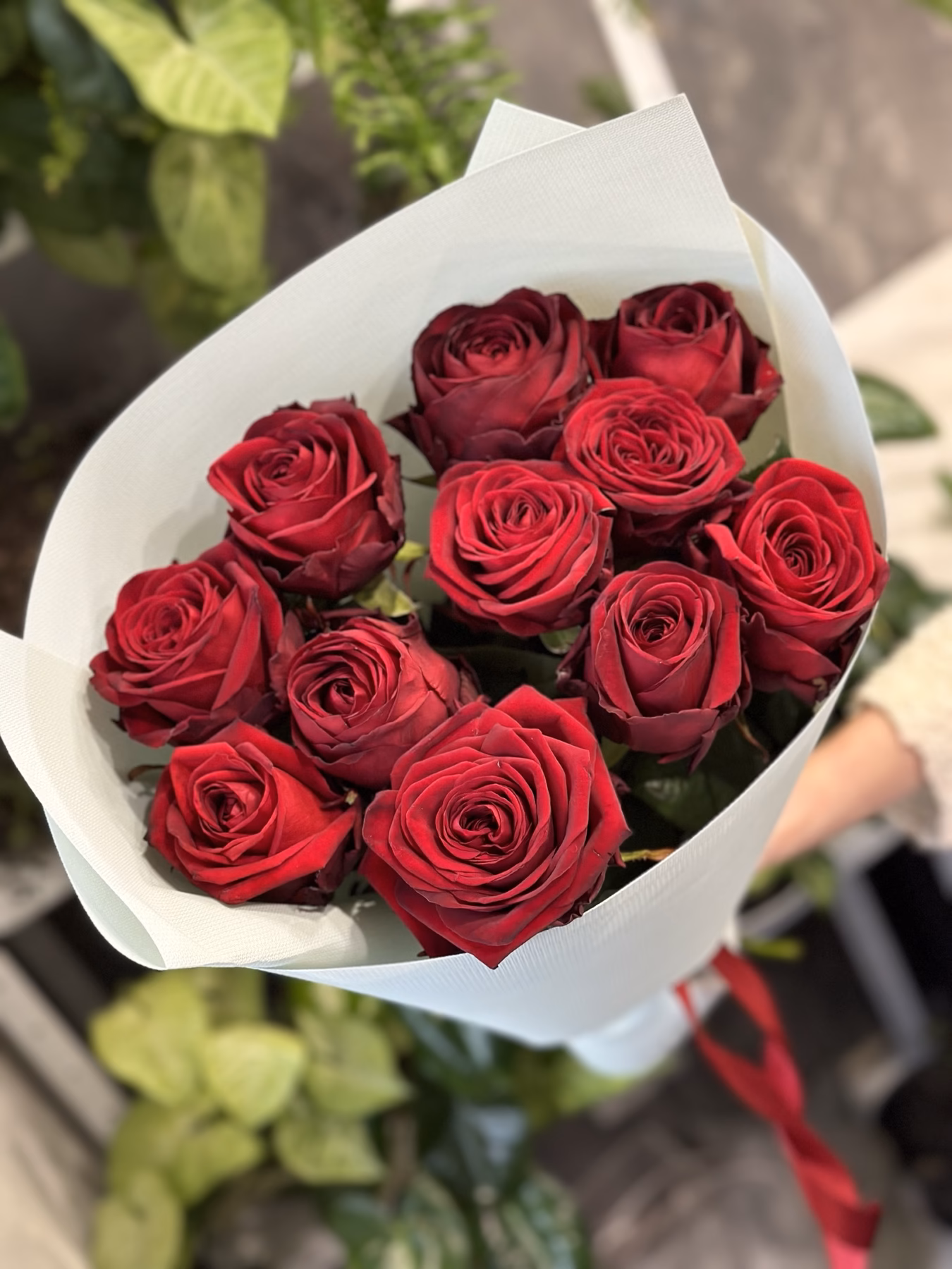 Букет з 11 червоних троянд "Red Naomi" 70 см