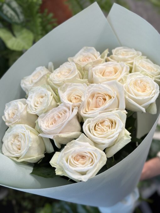 Букет з 7 або 15 піоноподібних троянд "White O'Hara"