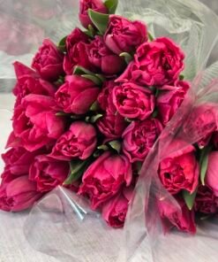 Букет з 25 малинових піоноподібних тюльпанів