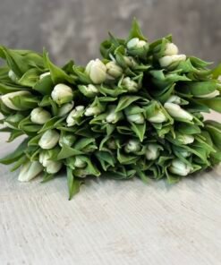 Букет з 45 білих тюльпанів