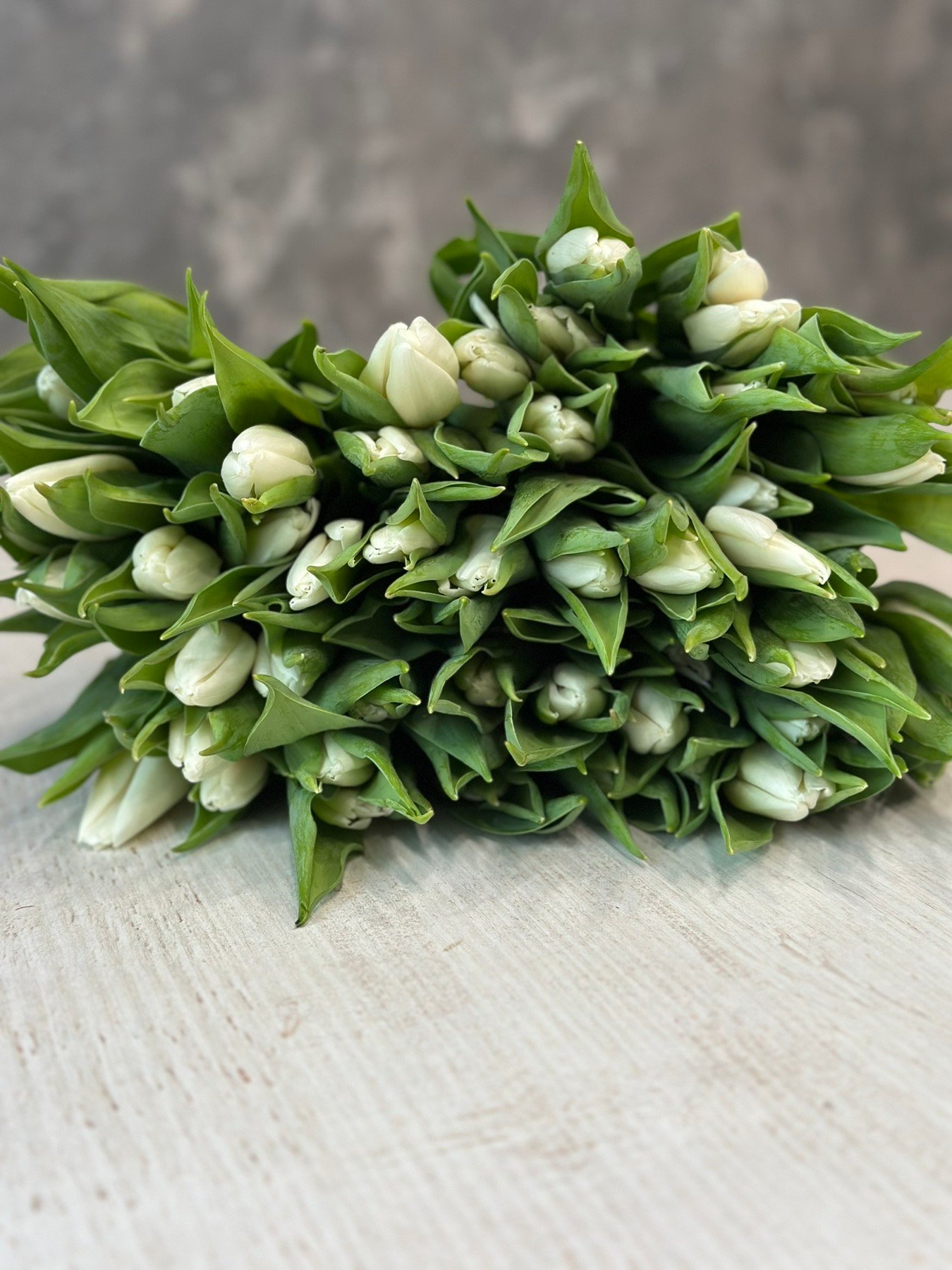 Букет з 45 білих тюльпанів