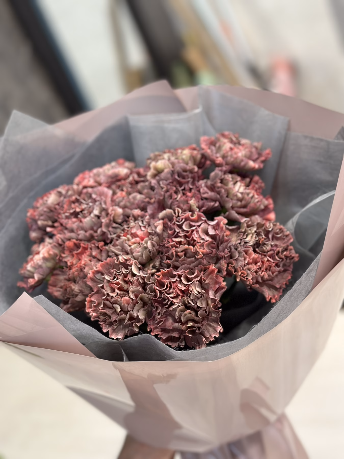 Букет з 15 гвоздик "Burgundy"