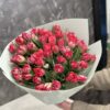 51 Піоноподібних тюльпанів Flash Point