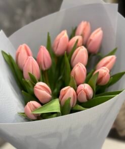 Букет 15 ексклюзивних тюльпанів сорту Thijs Boots