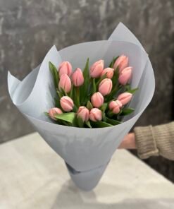 Букет 15 ексклюзивних тюльпанів сорту Thijs Boots