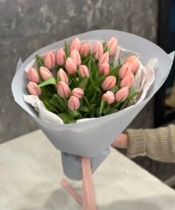 Букет 25 ексклюзивних тюльпанів сорту Thijs Boots