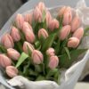 Букет 25 ексклюзивних тюльпанів сорту Thijs Boots