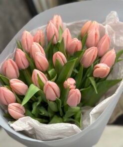 Букет 25 ексклюзивних тюльпанів сорту Thijs Boots