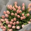 51 ексклюзивних тюльпанів сорту Thijs Boots