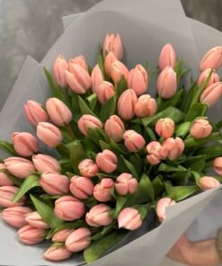 51 ексклюзивних тюльпанів сорту Thijs Boots