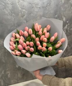 51 ексклюзивних тюльпанів сорту Thijs Boots