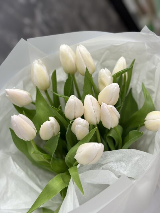 Букет 15 білих тюльпанів