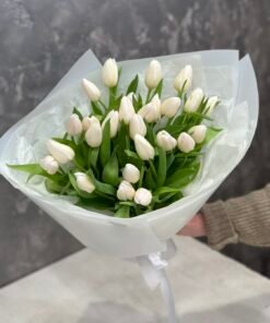 Букет 25 білих тюльпанів
