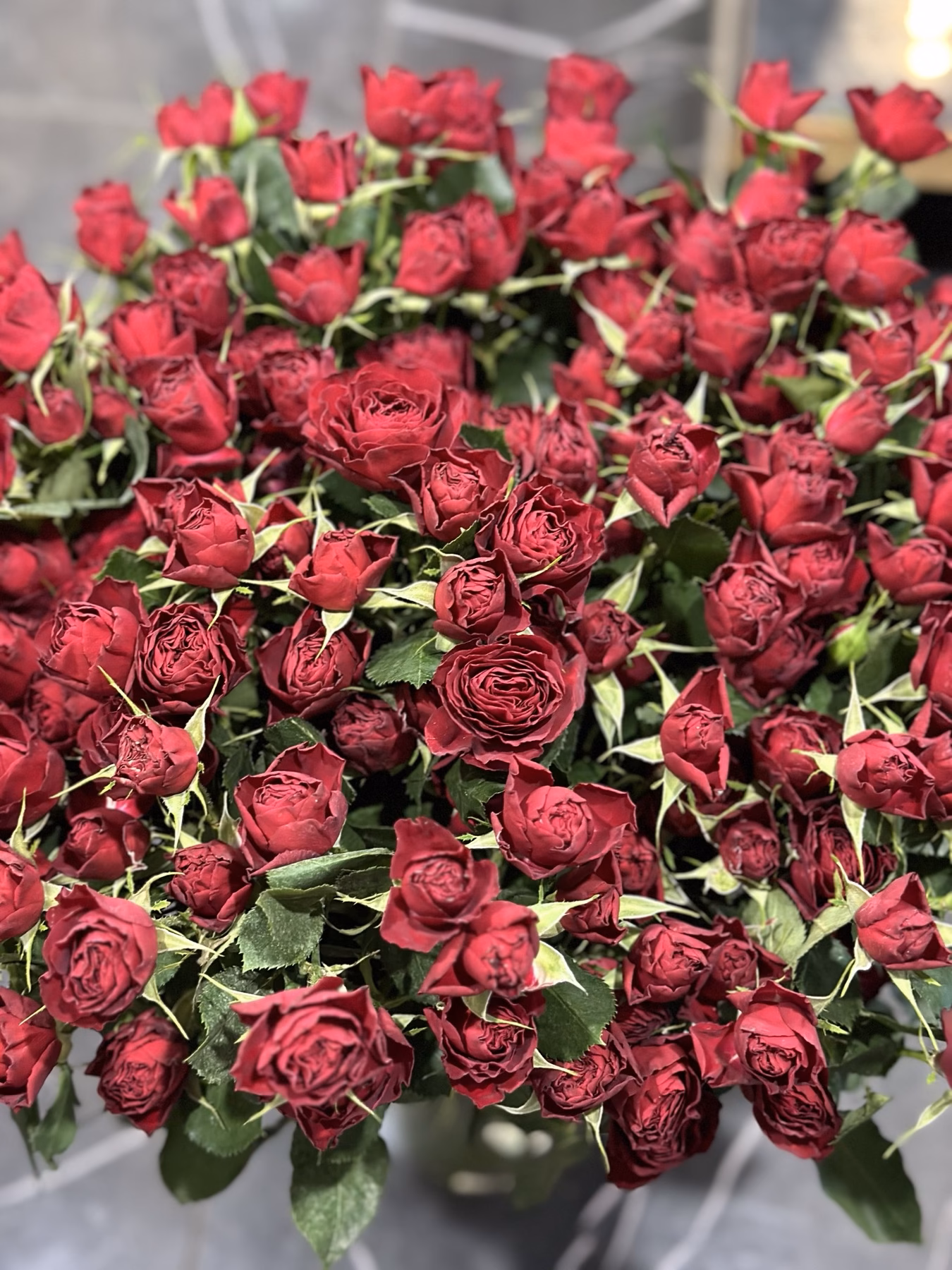 Букет з 35 гілок кущових троянд Red Trendsetter