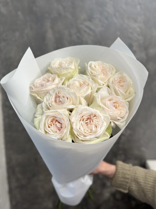 “VIP Parfume” Букет з 9 піоноподібних троянд "White O'Hara"
