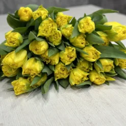 Букет 15 або 25 піоноподібних жовтих тюльпанів