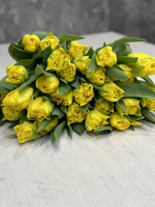 Букет 15 або 25 піоноподібних жовтих тюльпанів
