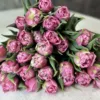 Букет з 25 тюльпанів “Dressing”
