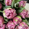 Букет з 25 тюльпанів “Dressing”