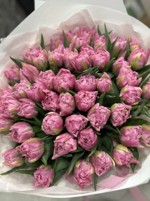 Букет з 35 або 51 тюльпанів “Maitresse”