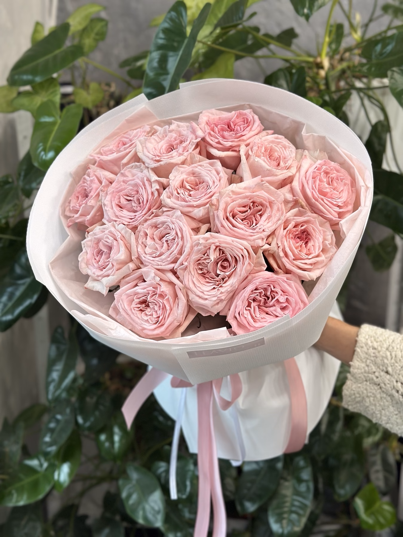 “Parfume” Букет з 15 піоноподібних троянд "Pink O'Hara"