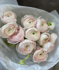 Букет з 11 Ранункулюсів "Cloni Hanoi"