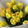Букет з 15 піоноподібних тюльпанів “Marie Jo”