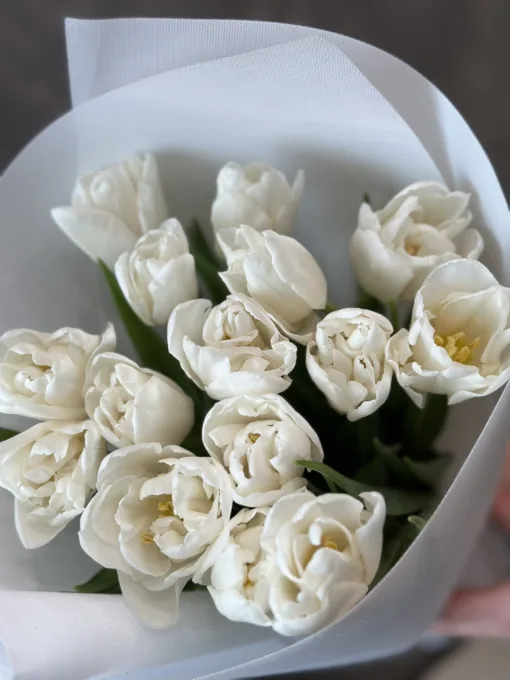 Букет з 15 Білих піоноподібних тюльпанів