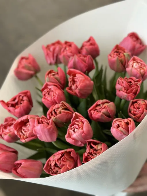 Букет з 25 піоноподібних тюльпанів “Adore”